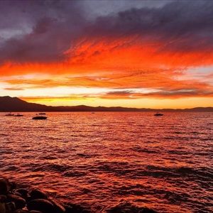 Meet your Posher, Ann